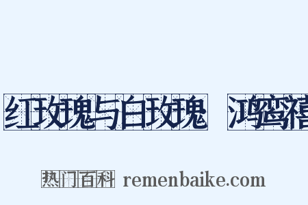红玫瑰与白玫瑰·鸿鸾禧是什么意思的图片